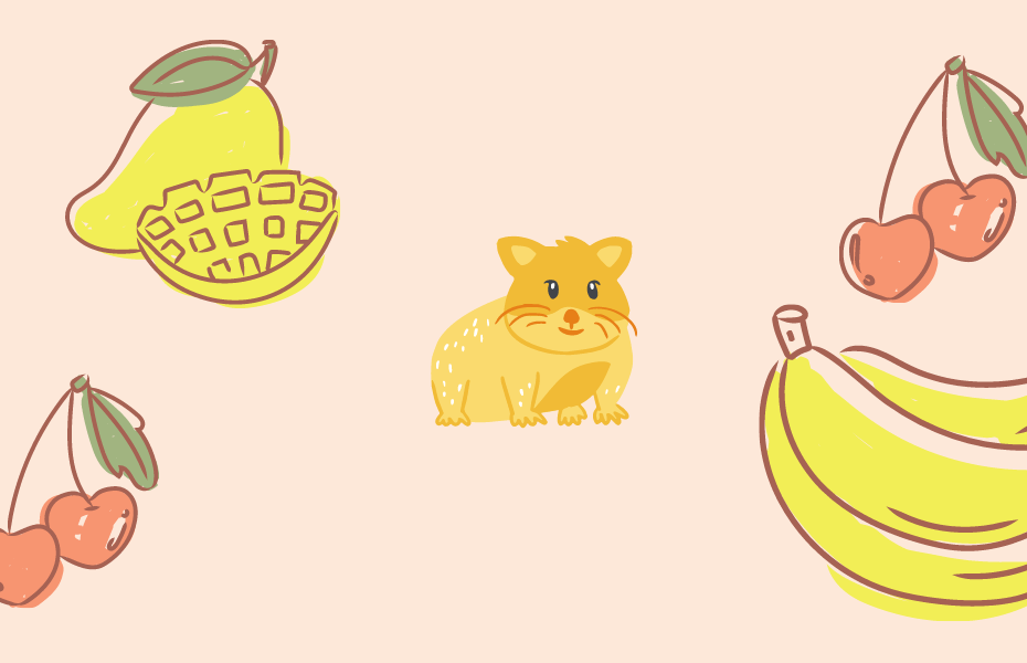 What Fruits Can a Hamster Eat