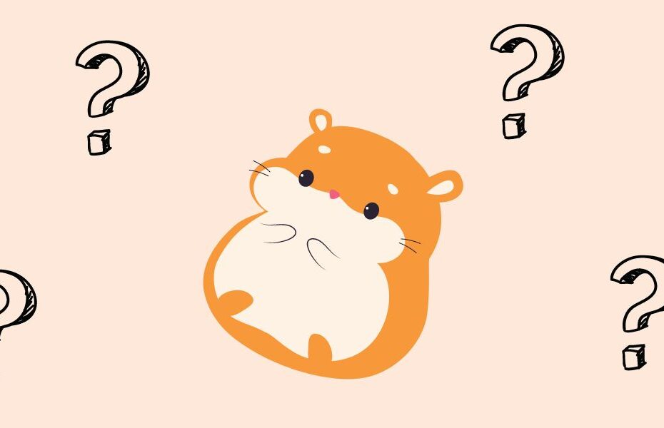 Comprehensive Guide to Hamster Behavior and What It Means