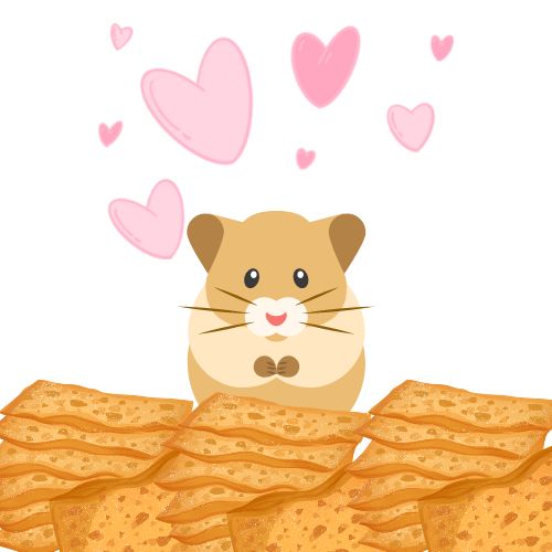 Can a Hamster Eat Crackers