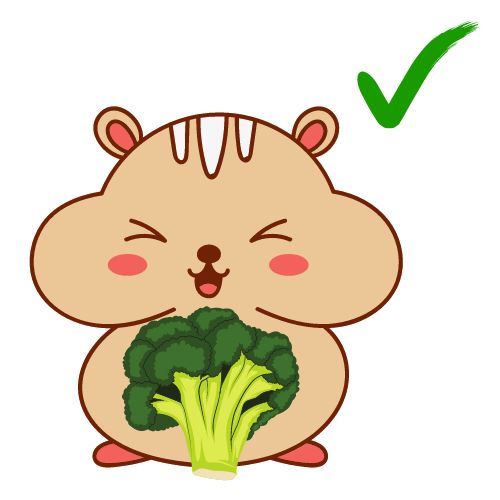 Can a Hamster Eat Broccoli