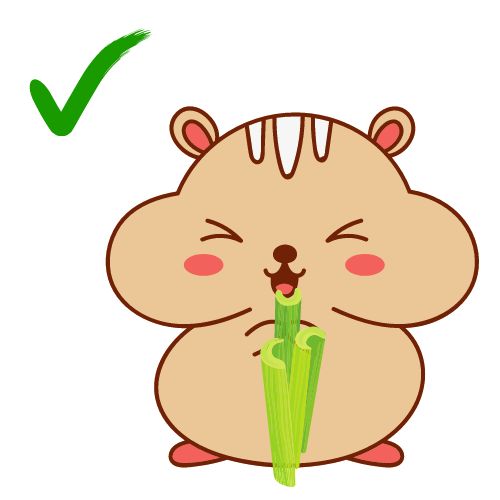 Can a Hamster Eat Celery
