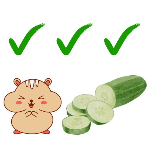 Can a Hamster Eat Cucumber