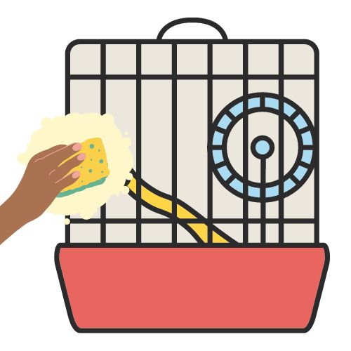 What is the Best Way to Clean a Hamster Cage