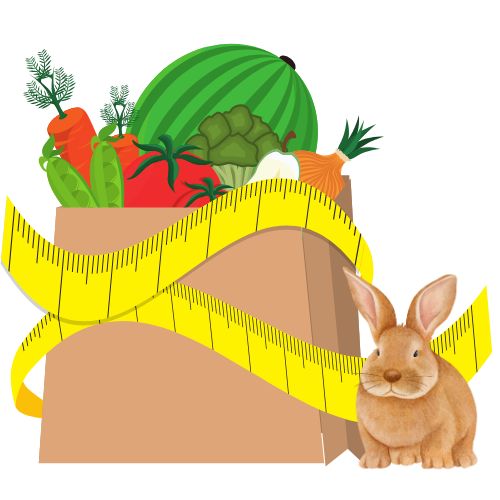 What is a healthy weight for your rabbit