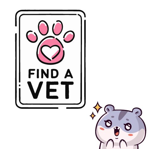Consult a vet for hamster eye infections