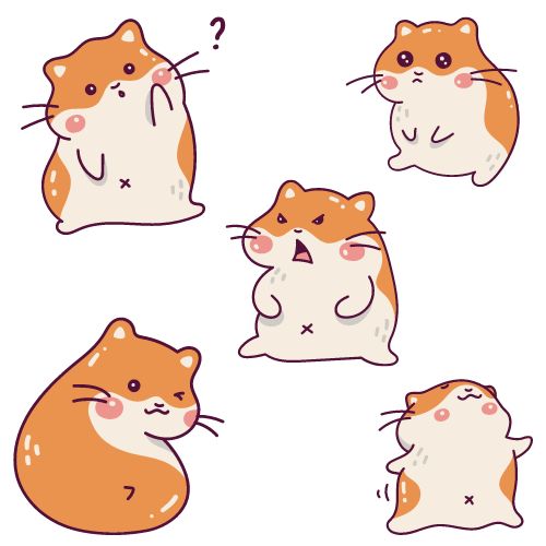 Hamster body language