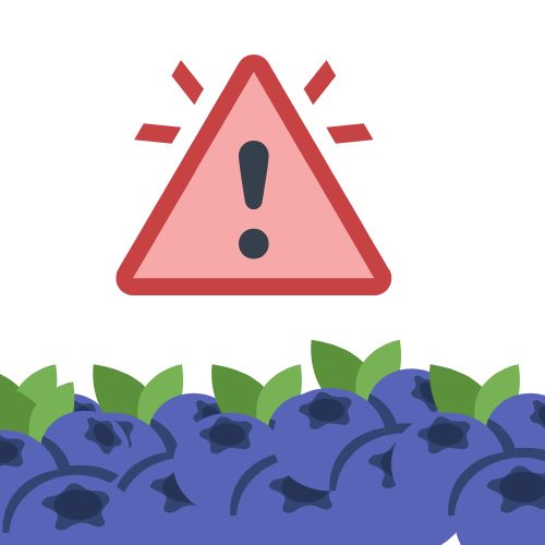 Risks of blueberries for hamsters