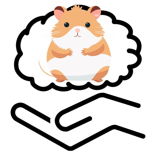Understanding hamster behavior
