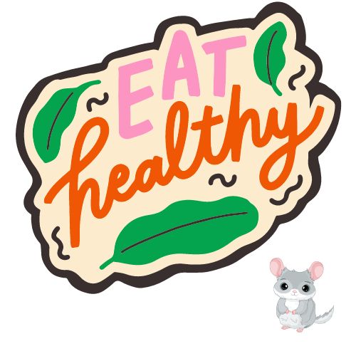 Other Healthy Snacks for Chinchillas